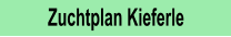 Zuchtplan Kieferle