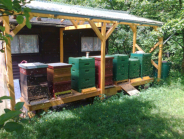 Ein Bienenstand mit viel Betrieb